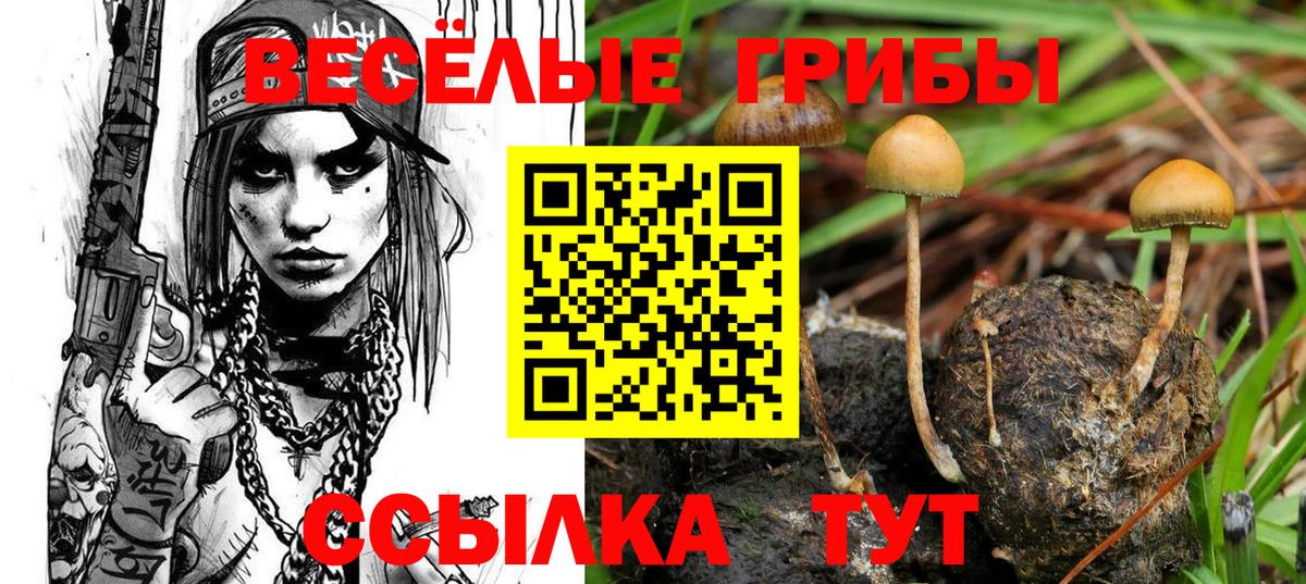 Галлюциногенные грибы Psilocybe Серов