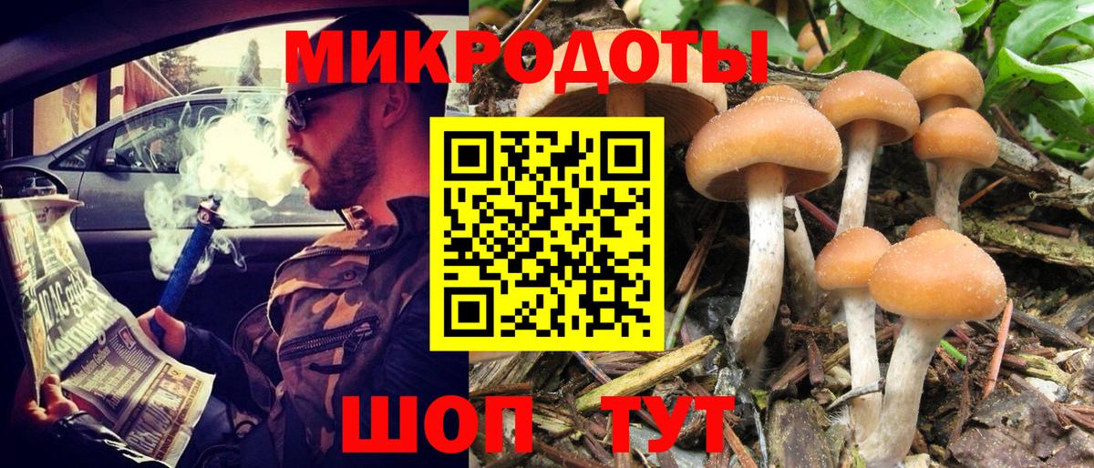 Серов  Псилоцибиновые грибы MAGIC MUSHROOMS  Вход с VPN  Галлюциногенные грибы ЛСД 